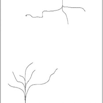 Glasriss am Fenster nach der Montage von maßgefertigten Plissees, Rollos oder Jalousien – Wer ist verantwortlich?